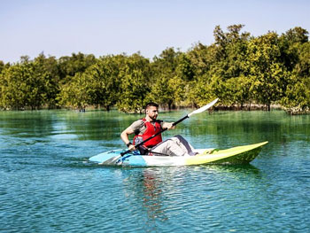 Mangrove Kayaking Abu Dhabi